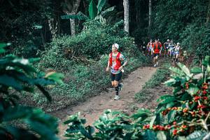 BIB: 
                            <button type="button" onclick="openModal(25797516)" class="btn btn-primary btn-sm float-right btn-popup" data-toggle="modal" data-target=".modal-high-quality">
                        <i class="fas fa-shopping-cart"></i> Add to Cart
                    </button>
                                            <button type="button" onclick="isThisMe(25797516, true)" class="btn btn-success btn-sm float-right btn-popup btn-isme hidden" data-toggle="tooltip" data-placement="bottom" title="นี่คือรูปของคุณใช่ไหม คลิกที่นี่เพื่อเอาเข้าอัลบั้ม">
                        <i class="fas fa-plus"></i> Add to album
                    </button>
                    <button type="button" onclick="isThisMe(25797516, false)" class="btn btn-warning btn-sm float-right btn-popup btn-isnotme hidden">
                        <i class="fas fa-ban"></i> Remove from album
                    </button>